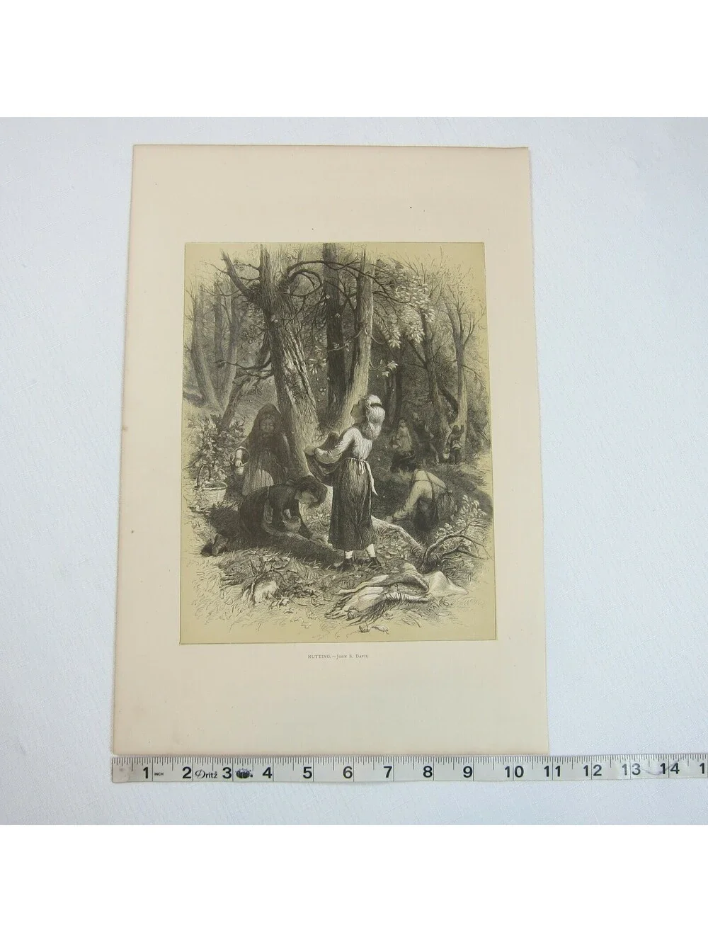 Antique 1873 Wood Engraving Print Nutting by John S. Davis, The Aldine, Children